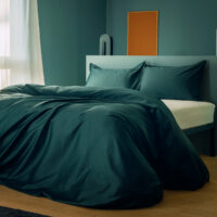Dreamin*101